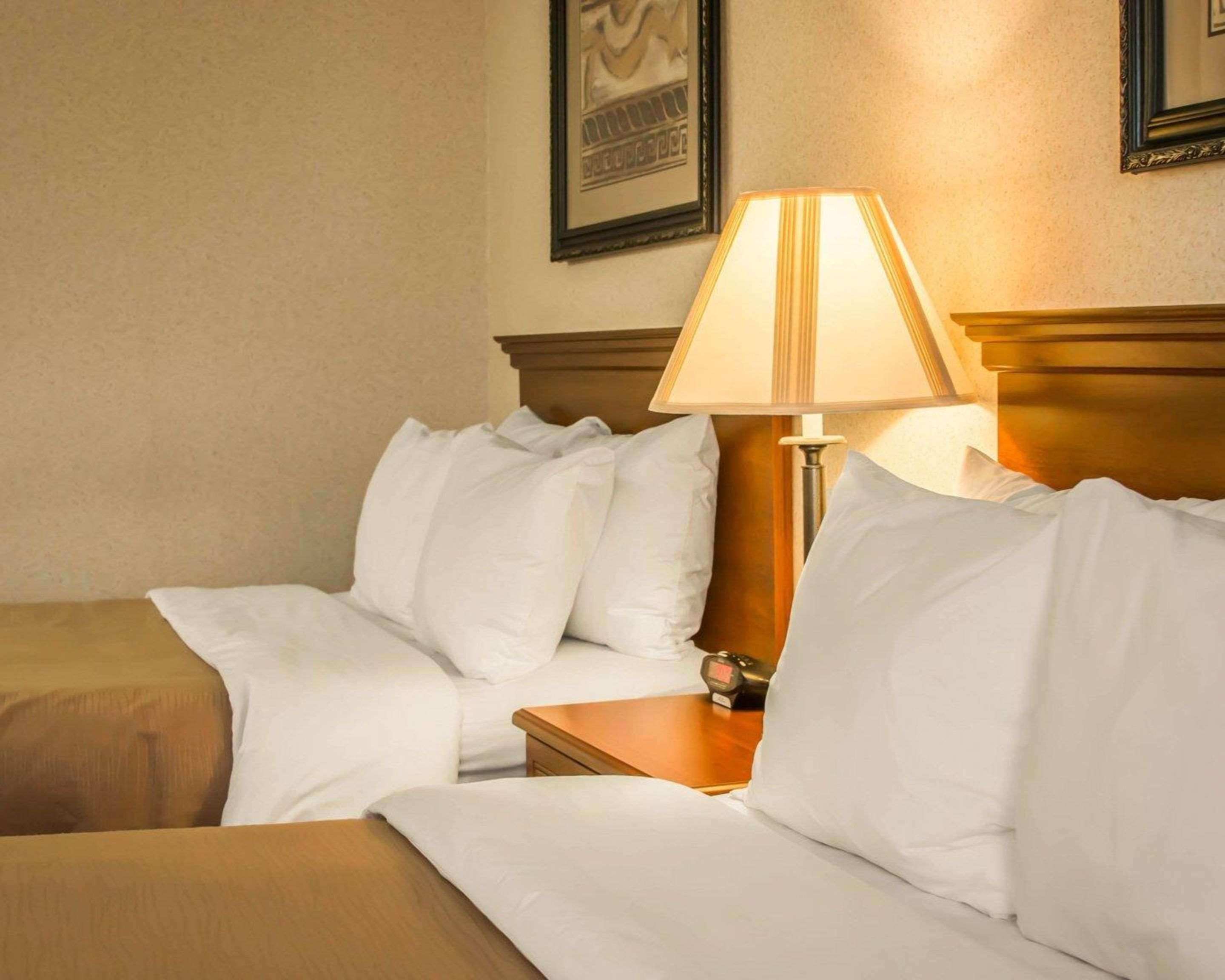 Comfort Inn & Suites Dimondale - Lansing