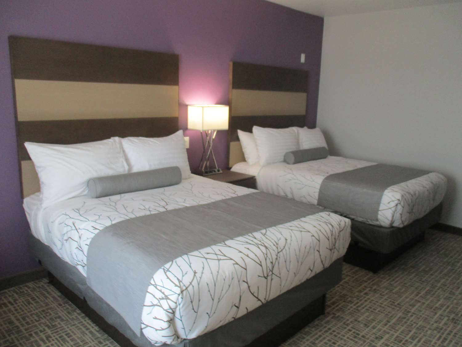 Best Western Plus Buda Austin Inn & Suites