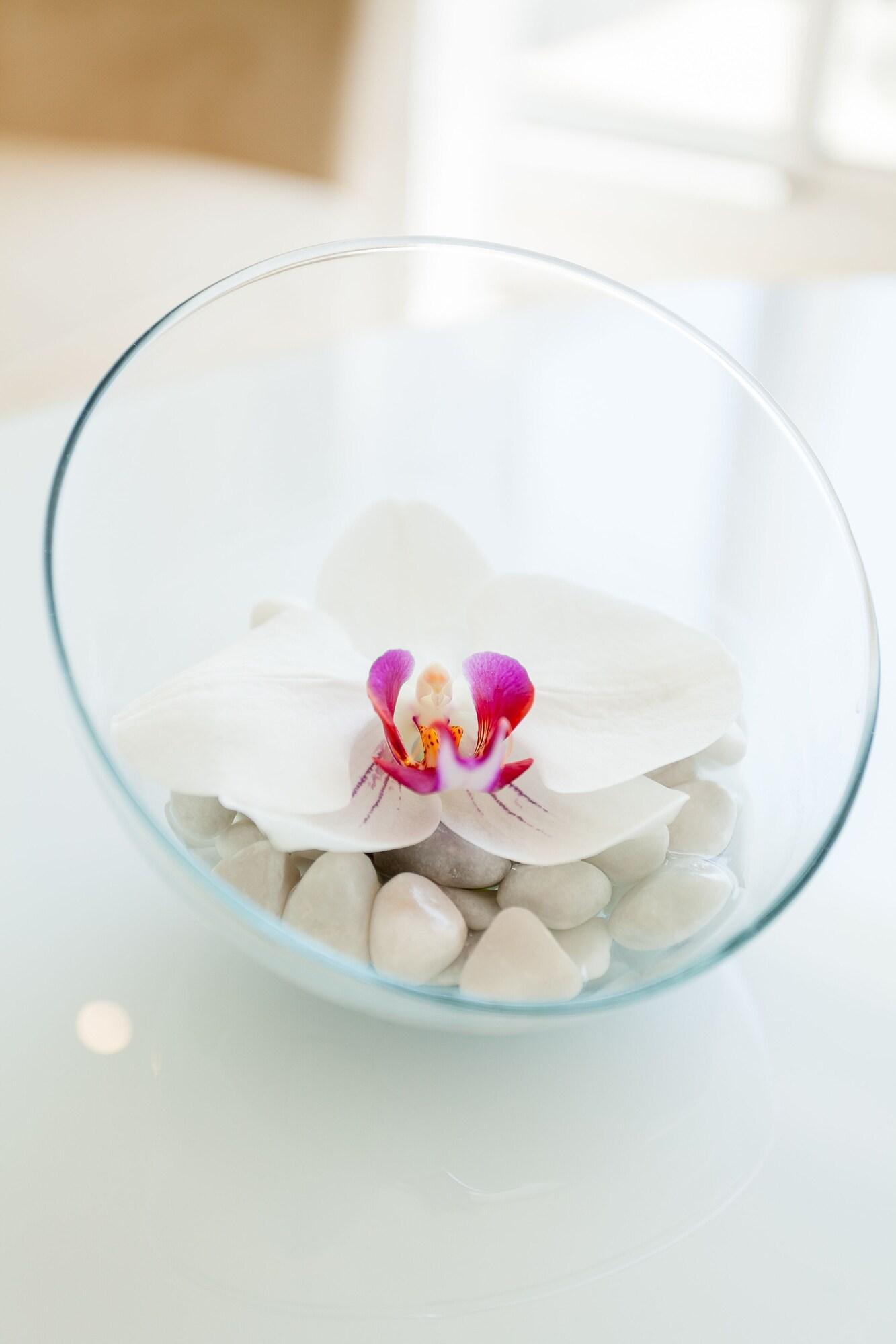 Grand Hôtel Thalasso & Spa