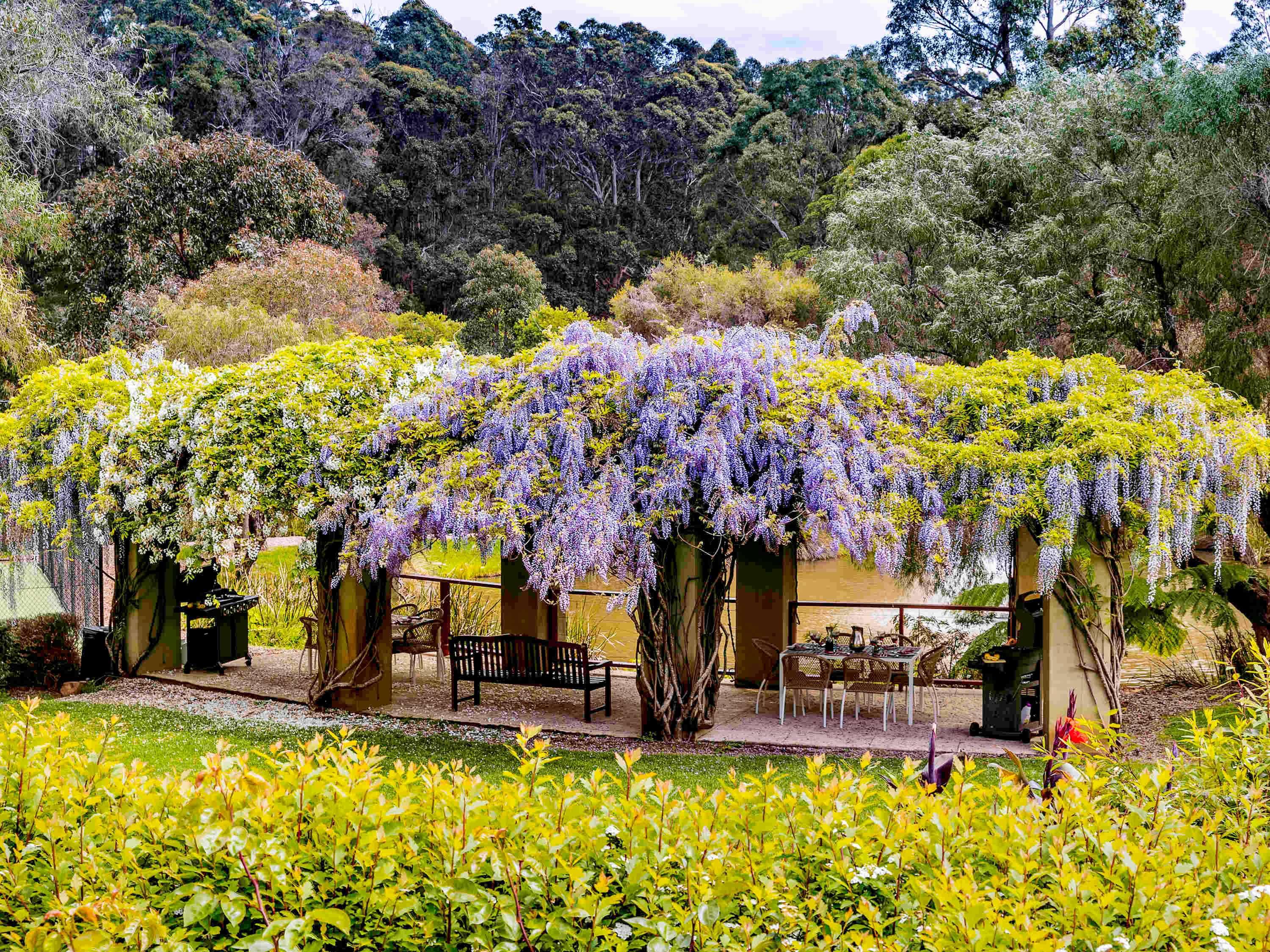 Grand Mercure Basildene Manor Accor Vacation Club Apartments by null