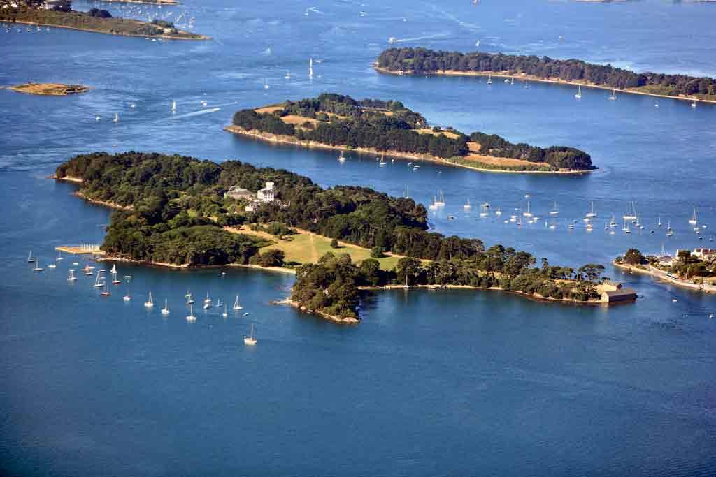 ibis Auray