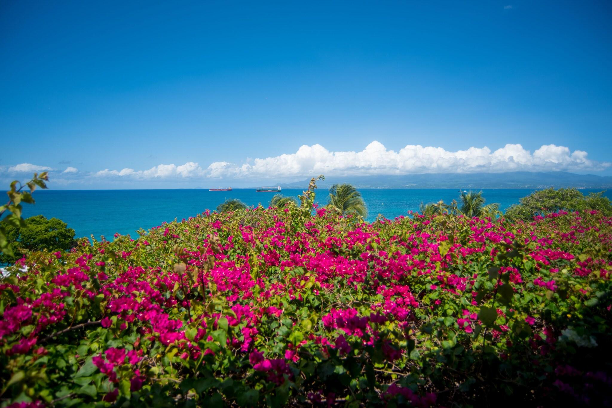 Auberge de La Vieille Tour by null
