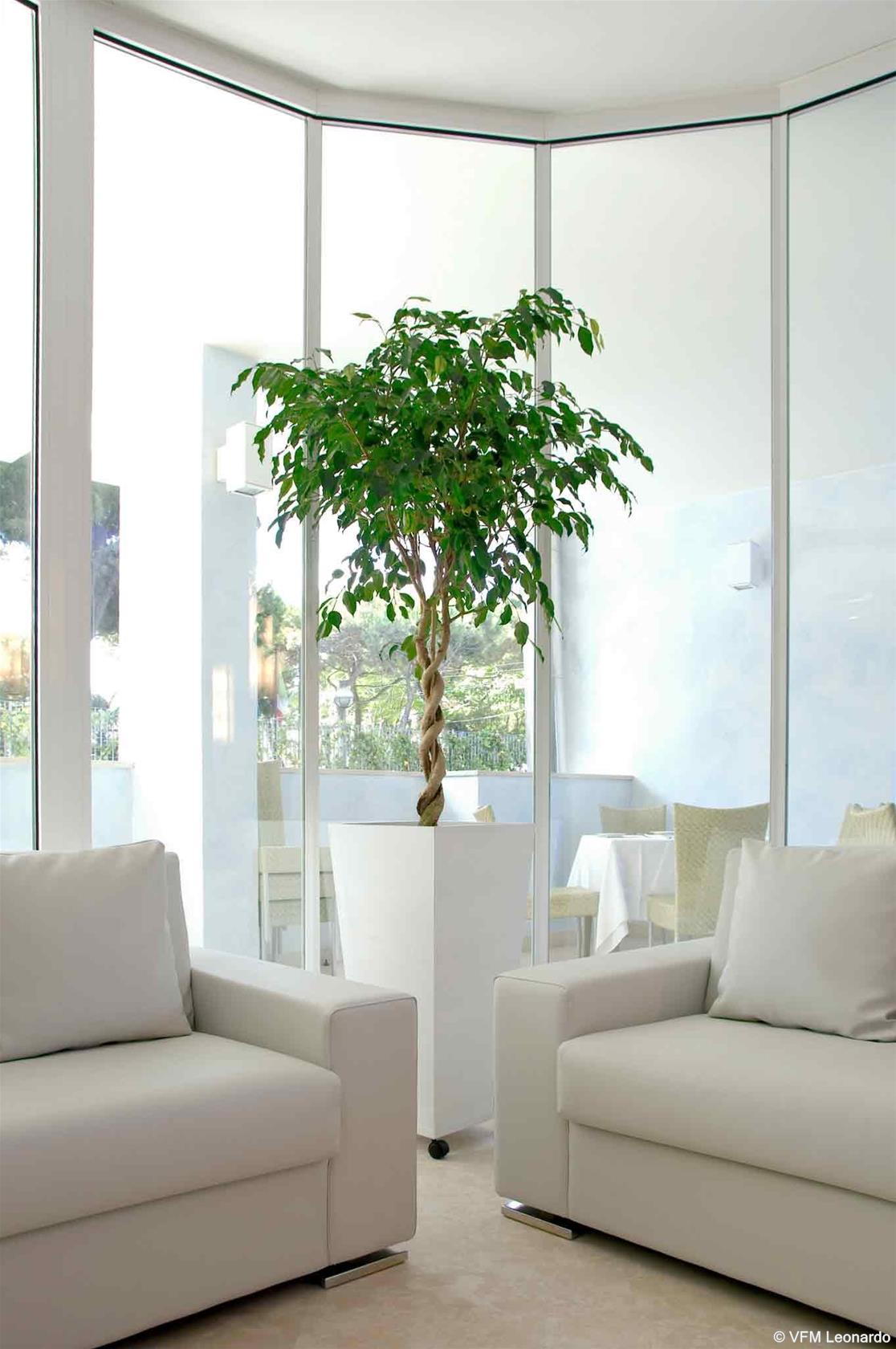 Mercure Rimini Lungomare - photo