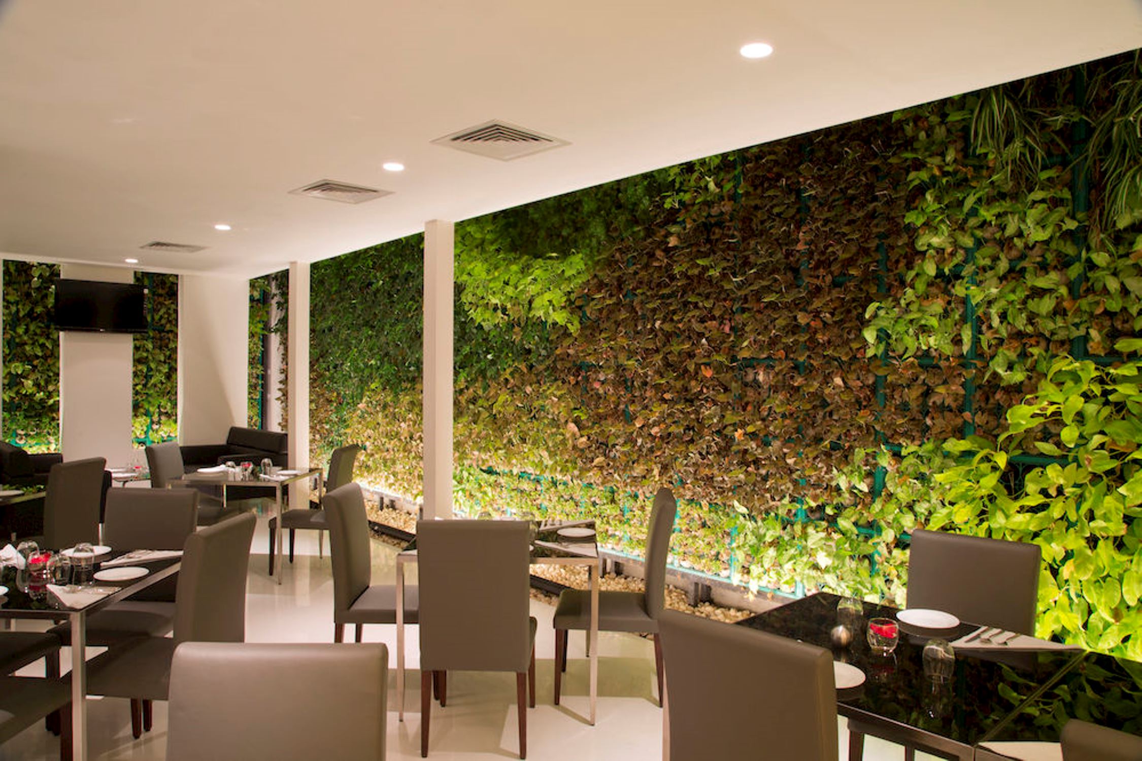 Springs Hotel and Spa