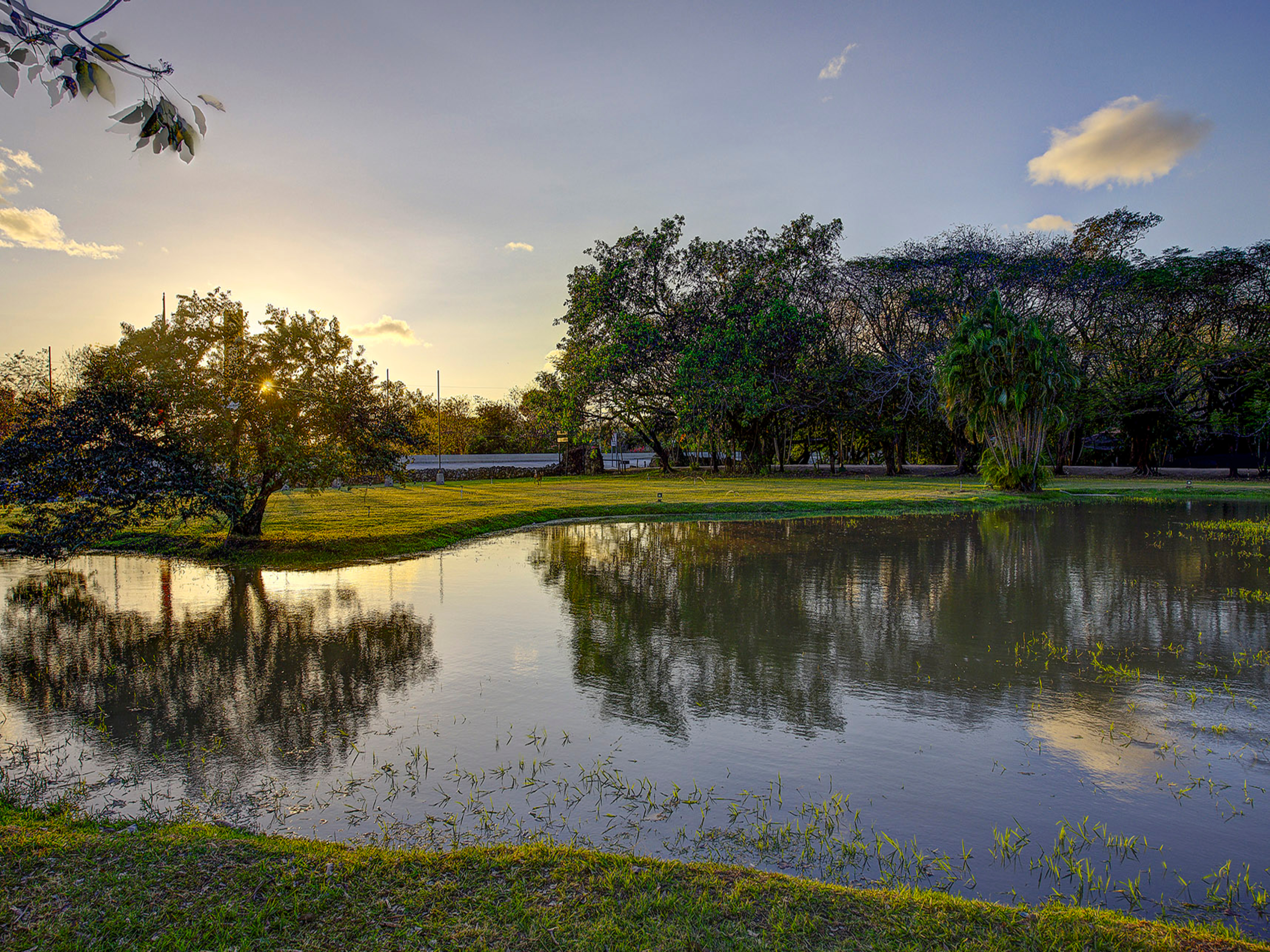 Hacienda La Pacifica by null