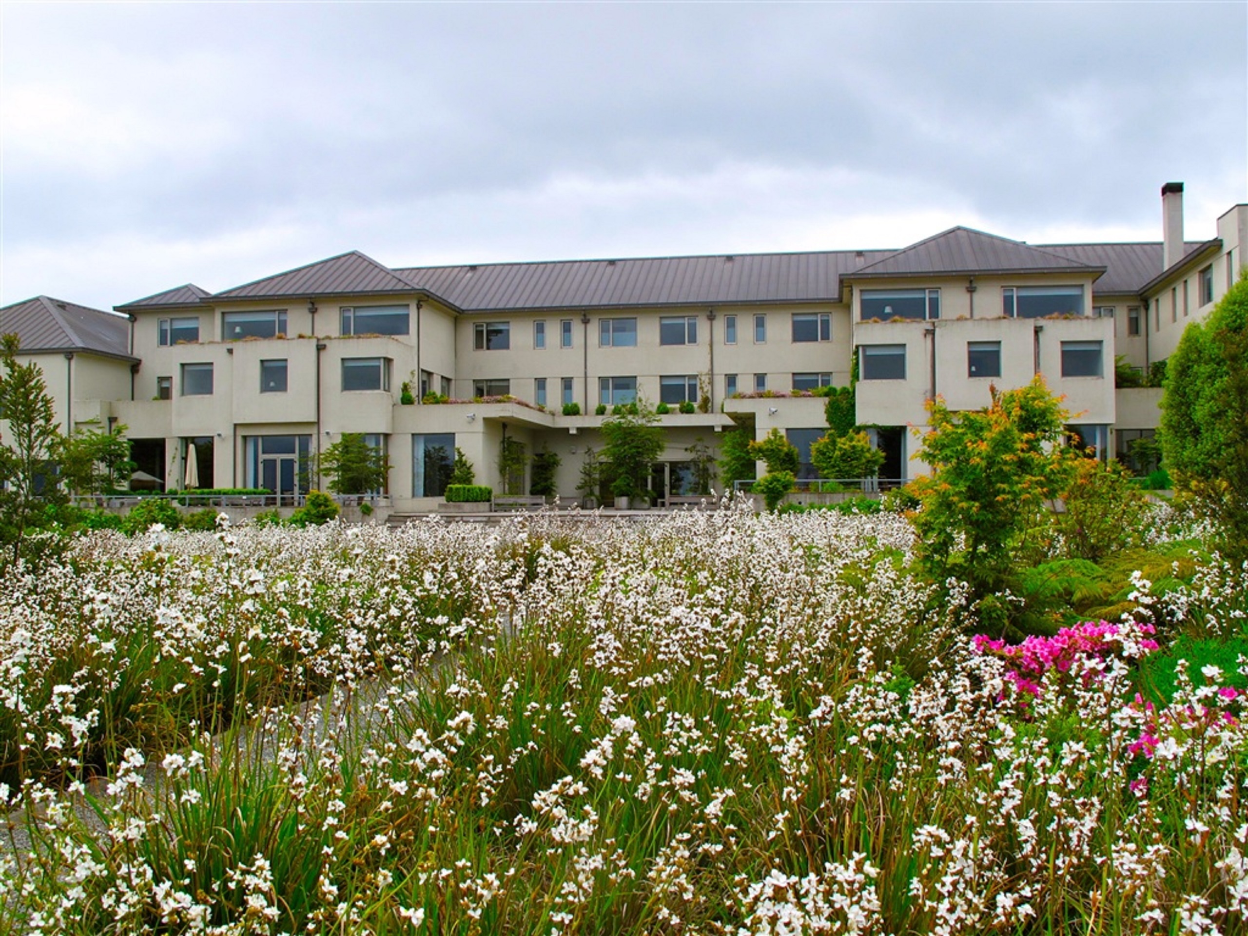 Hotel Patagonico by null