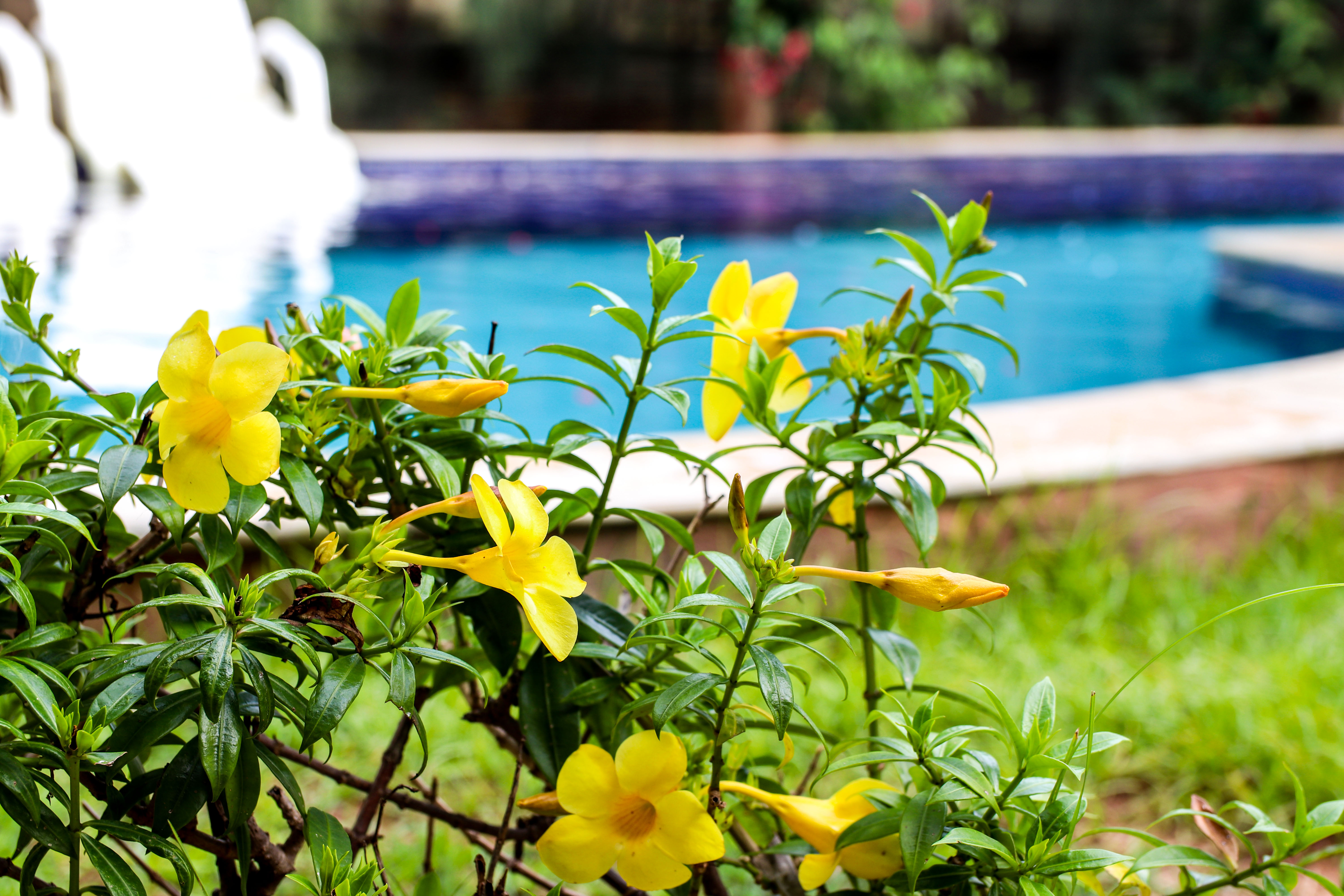 Verde da Mata Hotel