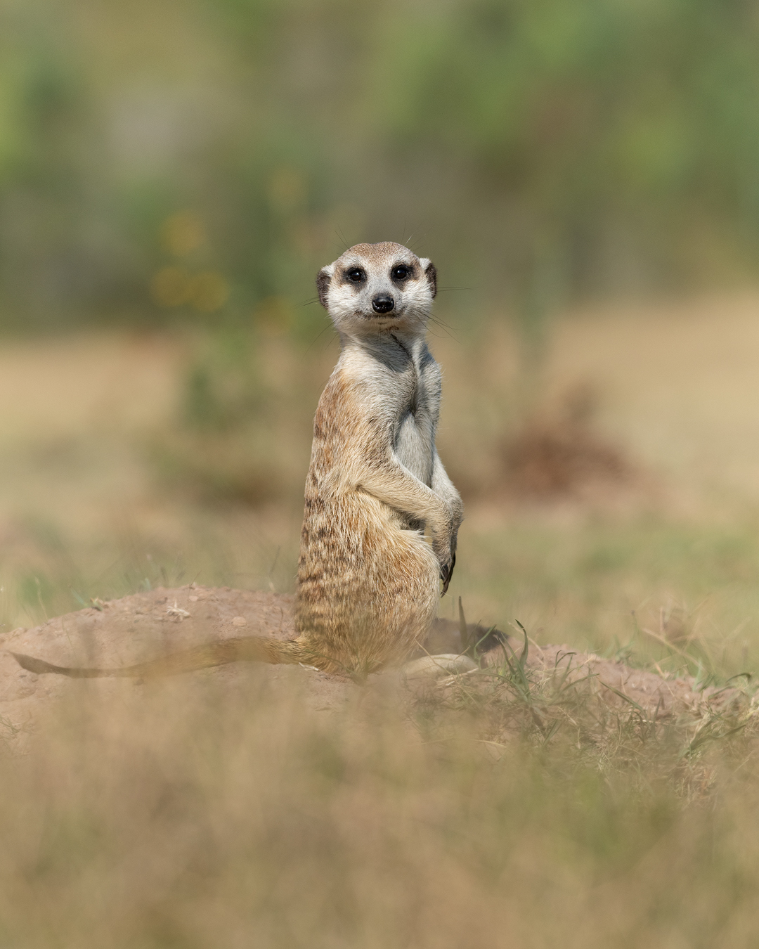 Botlierskop Private Game Reserve