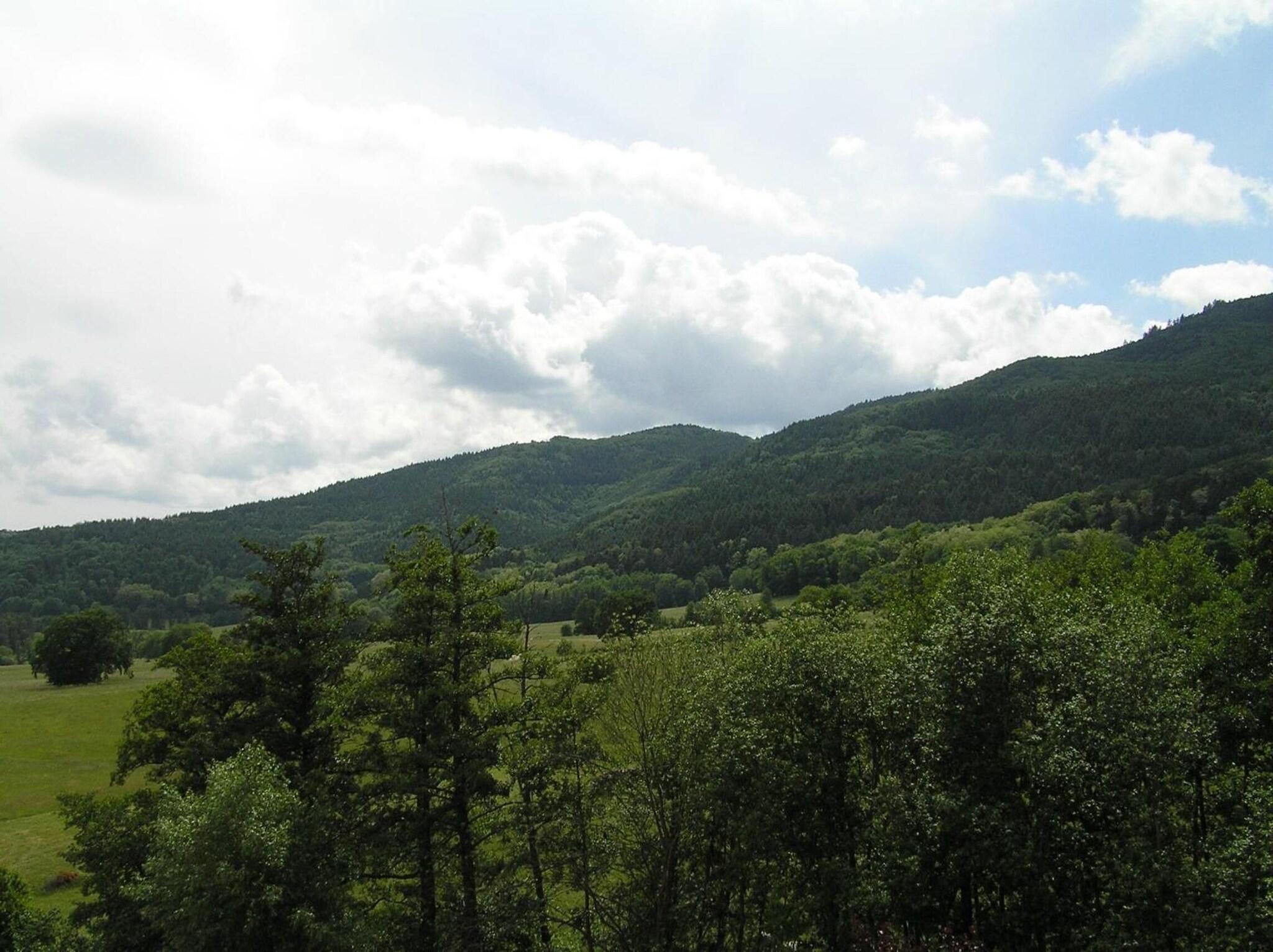 A l'Arbre Vert