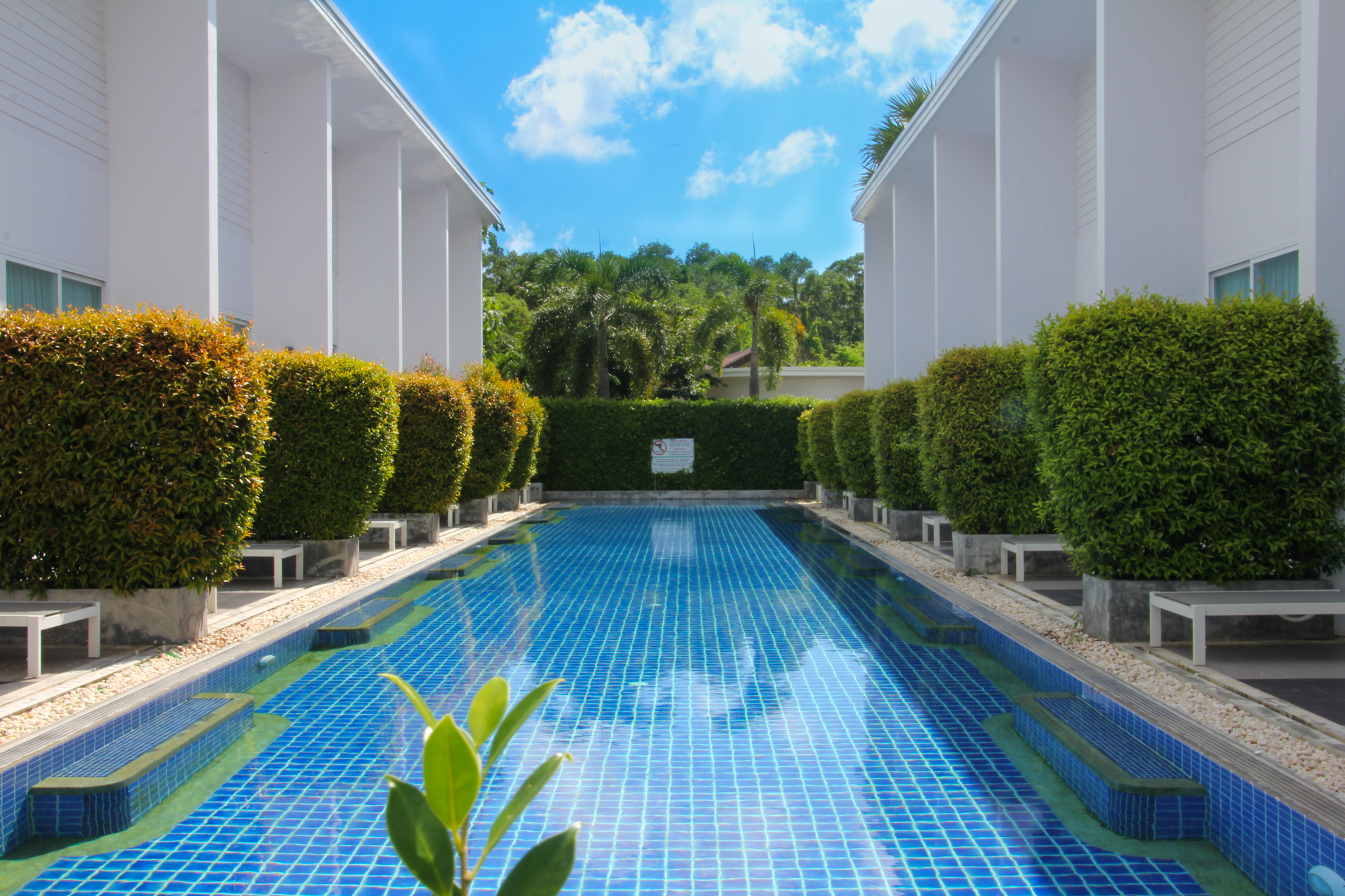 The Palmery Resort - nuotrauka