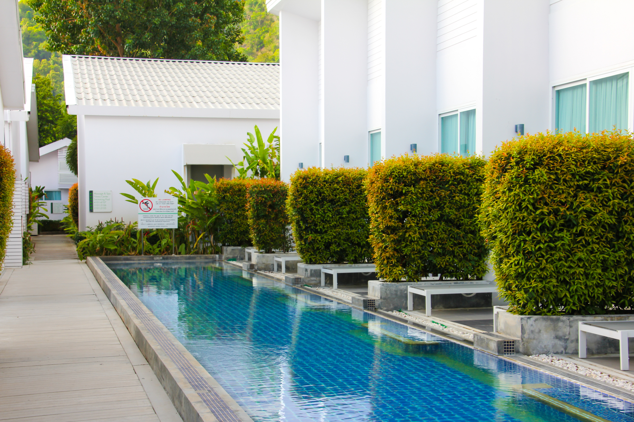 The Palmery Resort - nuotrauka