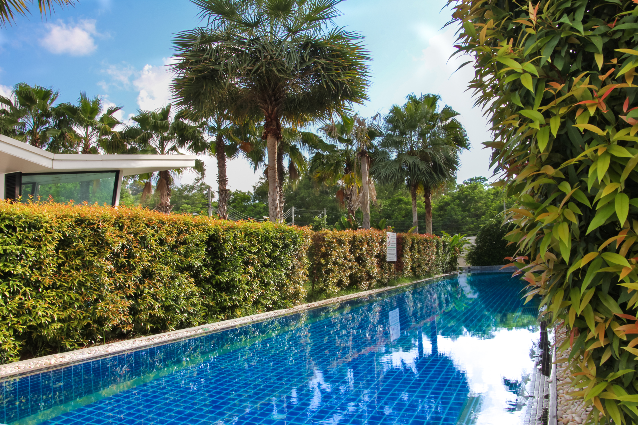 The Palmery Resort - nuotrauka