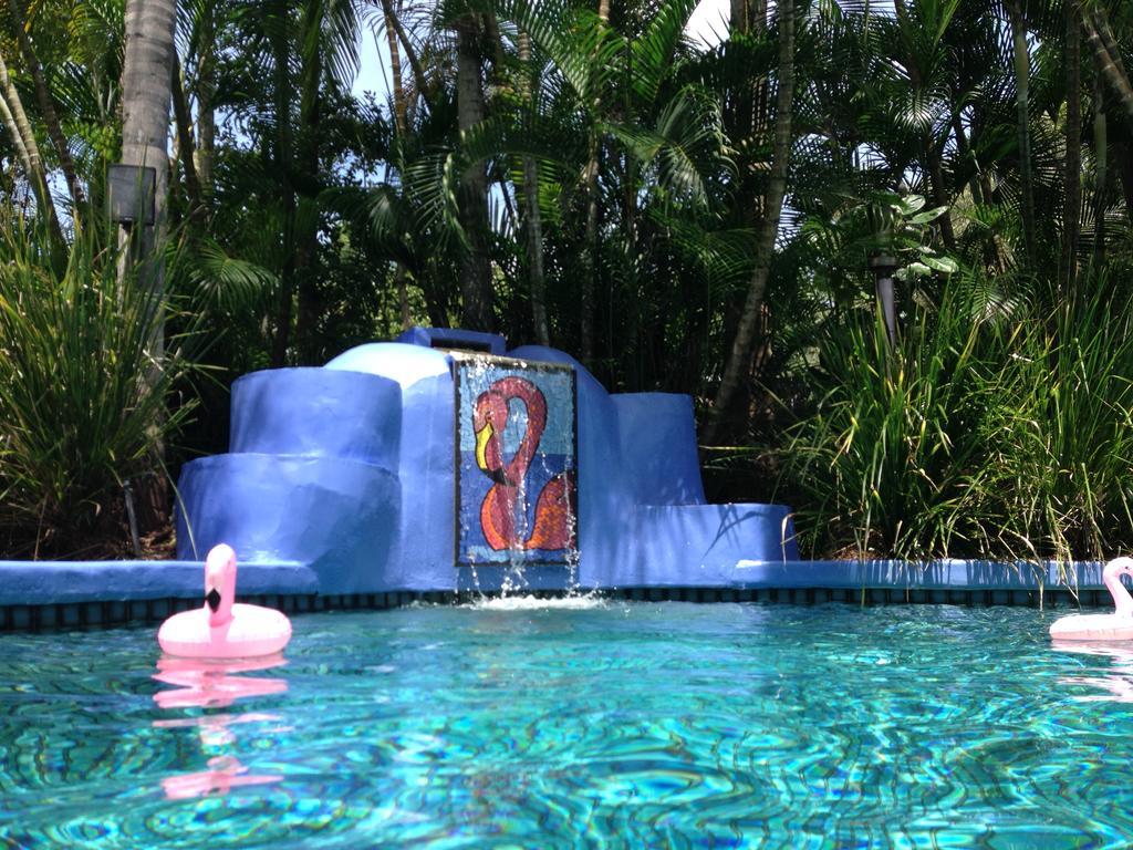 Pink Flamingo Resort by null