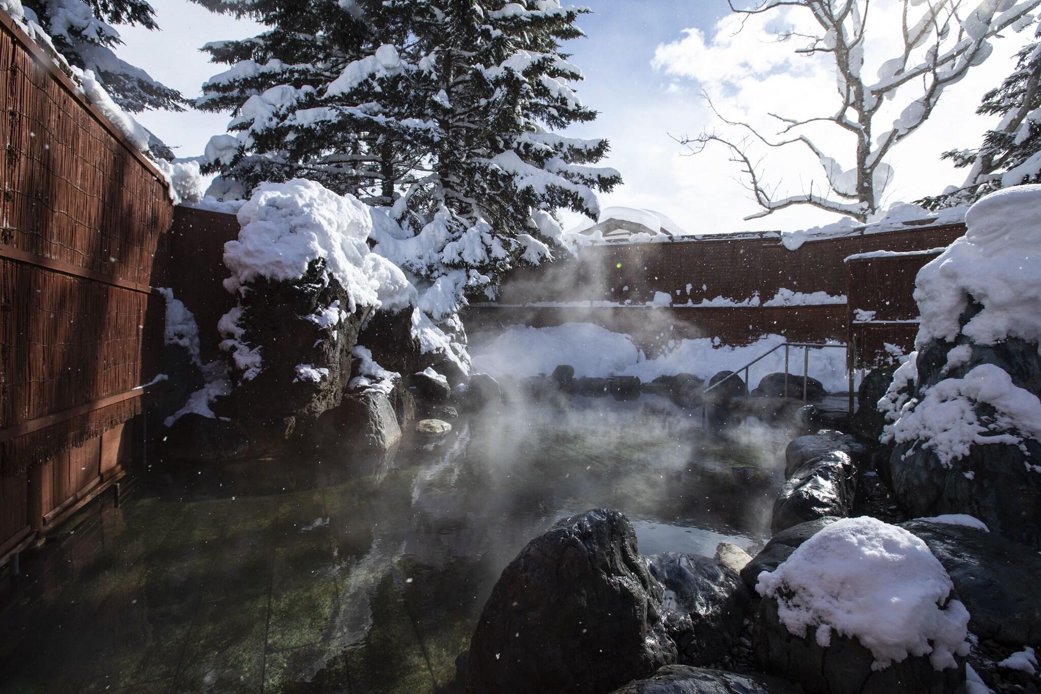 THE GREEN LEAF NISEKO VILLAGE by null