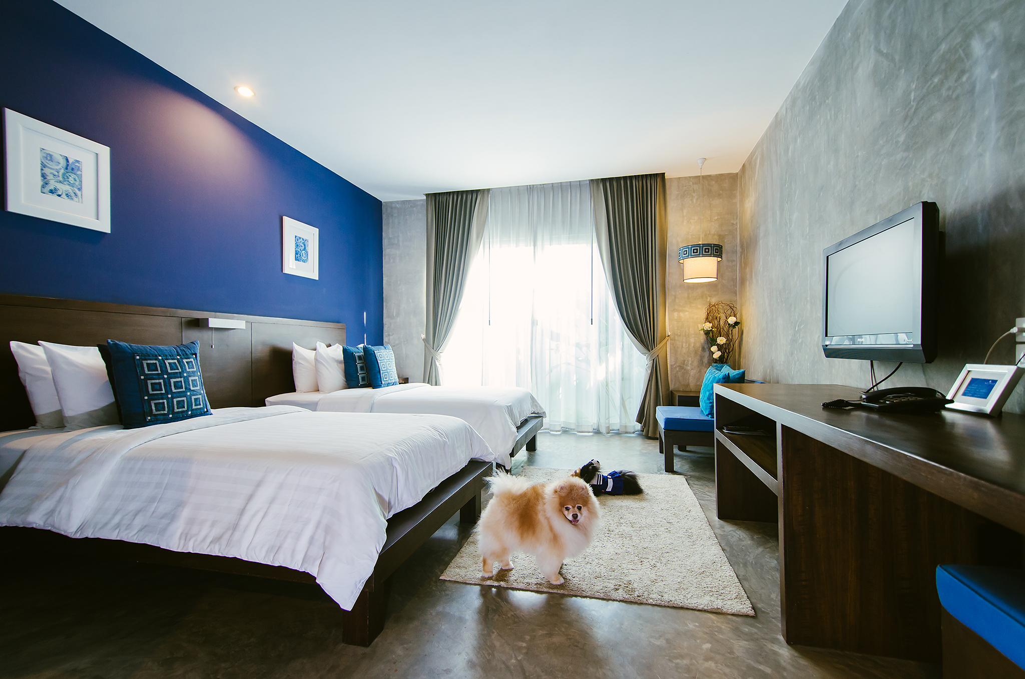 Ketawa Pet Friendly Hotel and Cafe by null