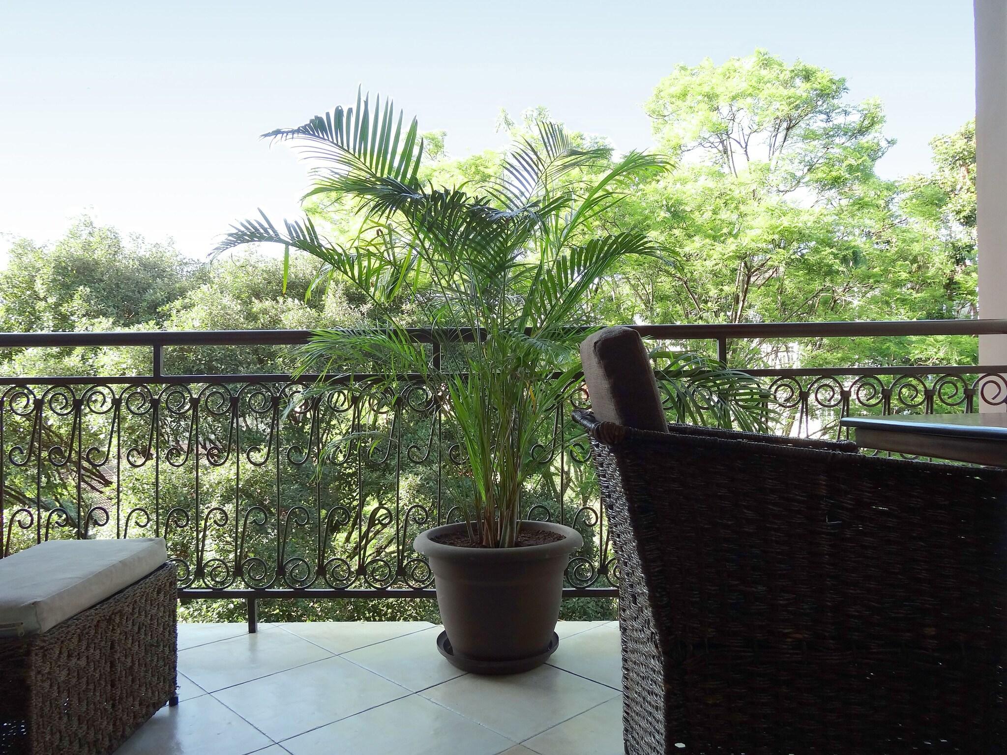 Palacina The Residence & The Suites by null