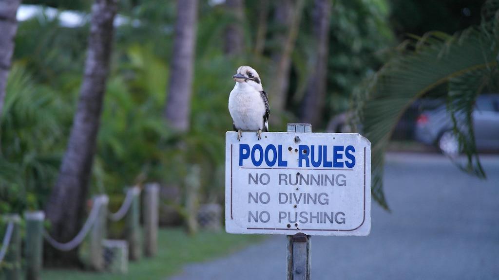 Bush Village Holiday Cabins by null