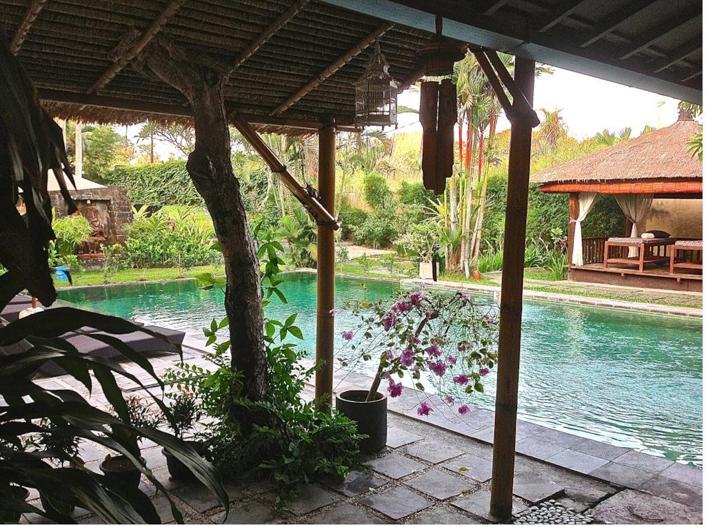 Aqua Bali Villa - photo