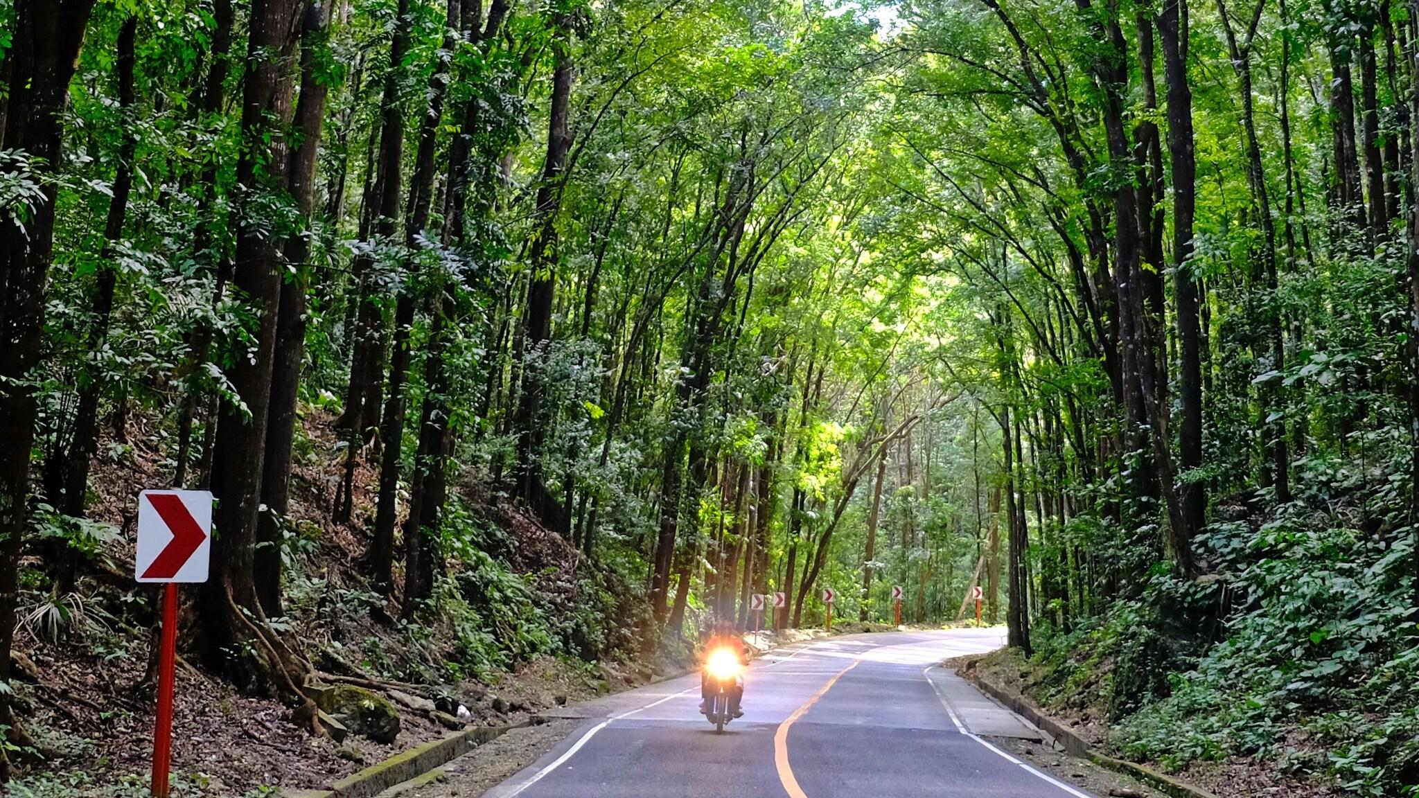 Loboc River Resort by null