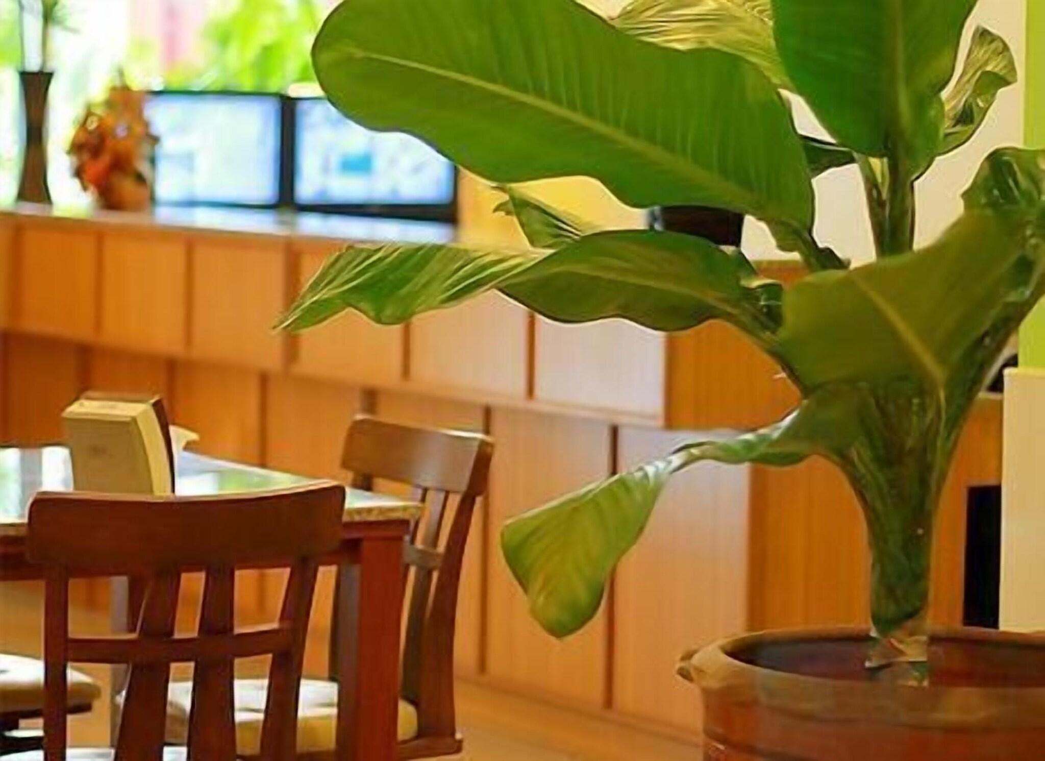 Cozy Villa Hotel