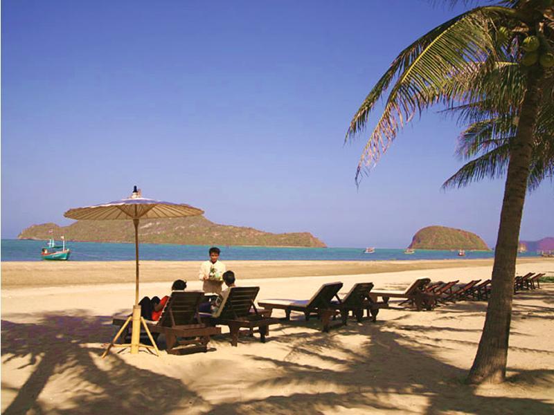 Terra Selisa  Dolphin Beach