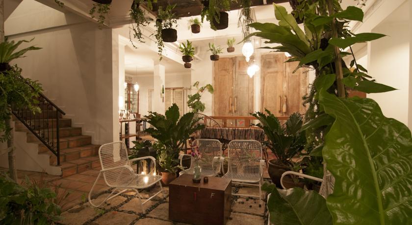 Brown Feather Hotel by null