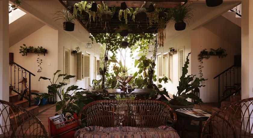 Brown Feather Batu Belig by null