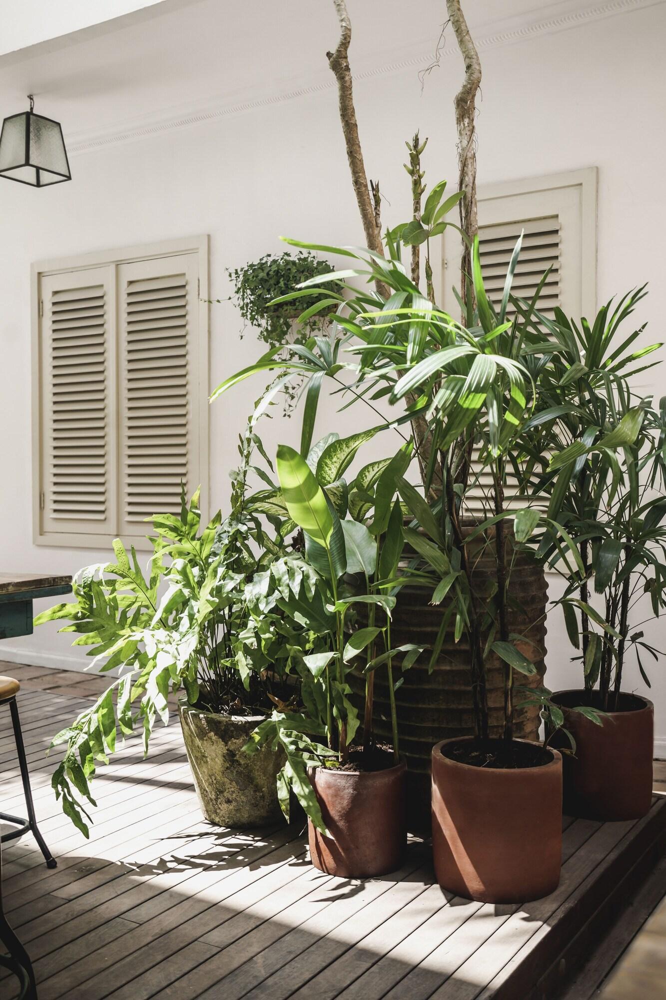 Brown Feather Hotel by null