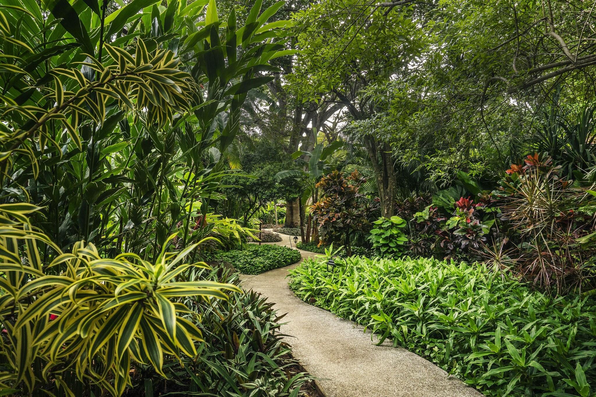 Capitán Suizo Beachfront Boutique Hotel by null