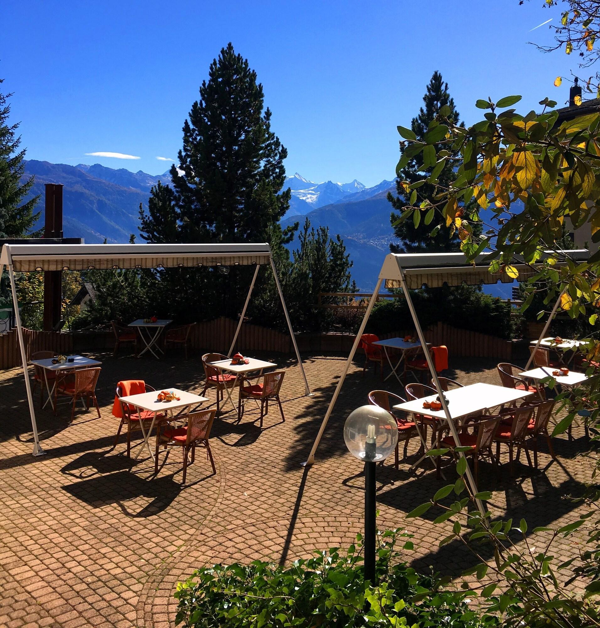 Hôtel de la Forêt by null