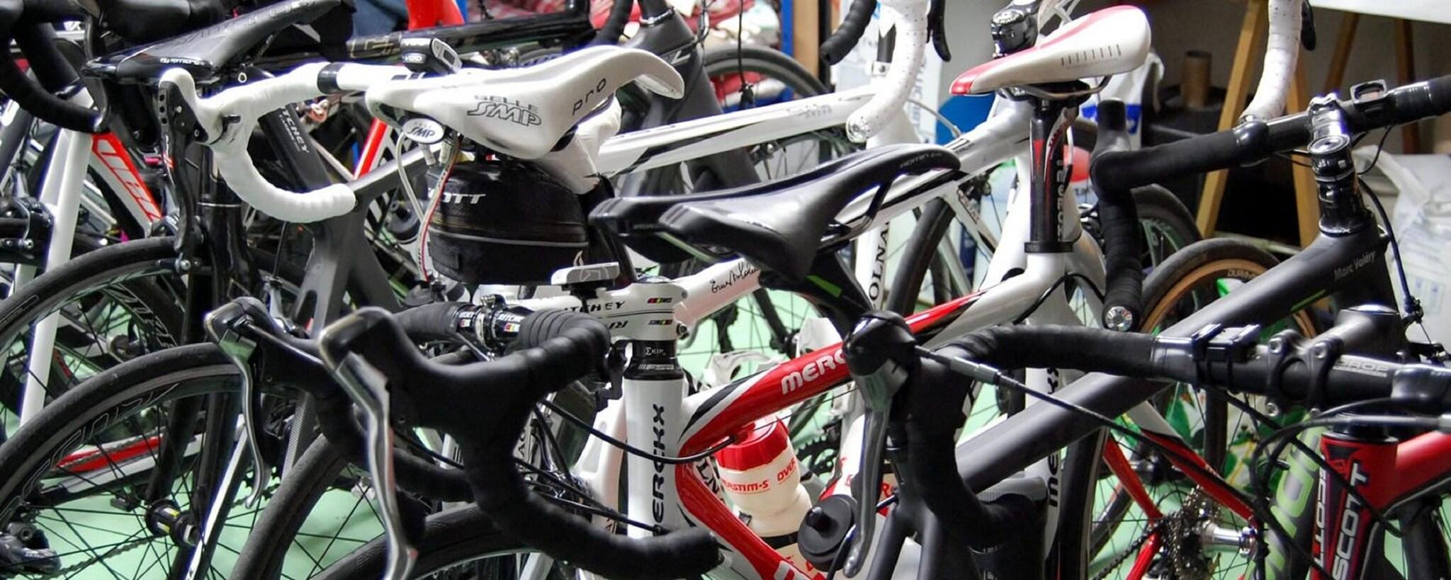 Hôtel de la Forêt by null