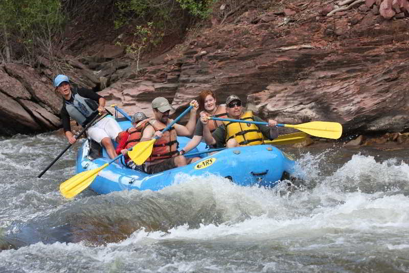 Lumière by Dunton by null