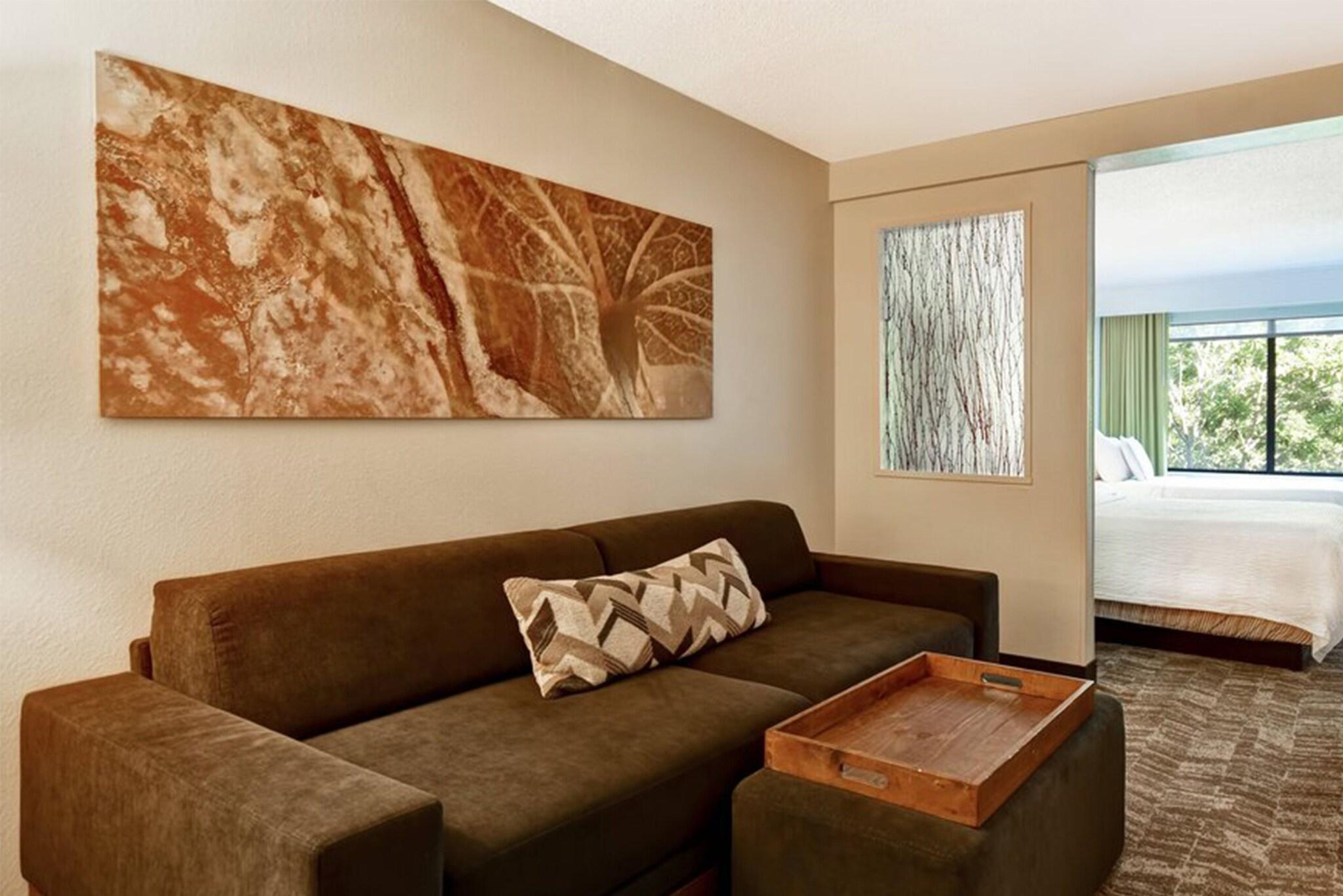 SpringHill Suites Atlanta Kennesaw