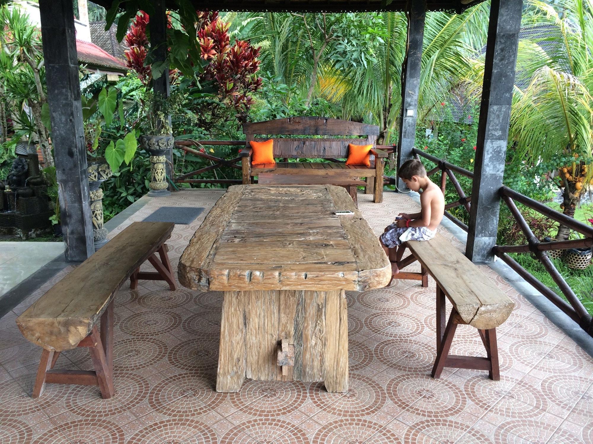 Great Mountain Views by null