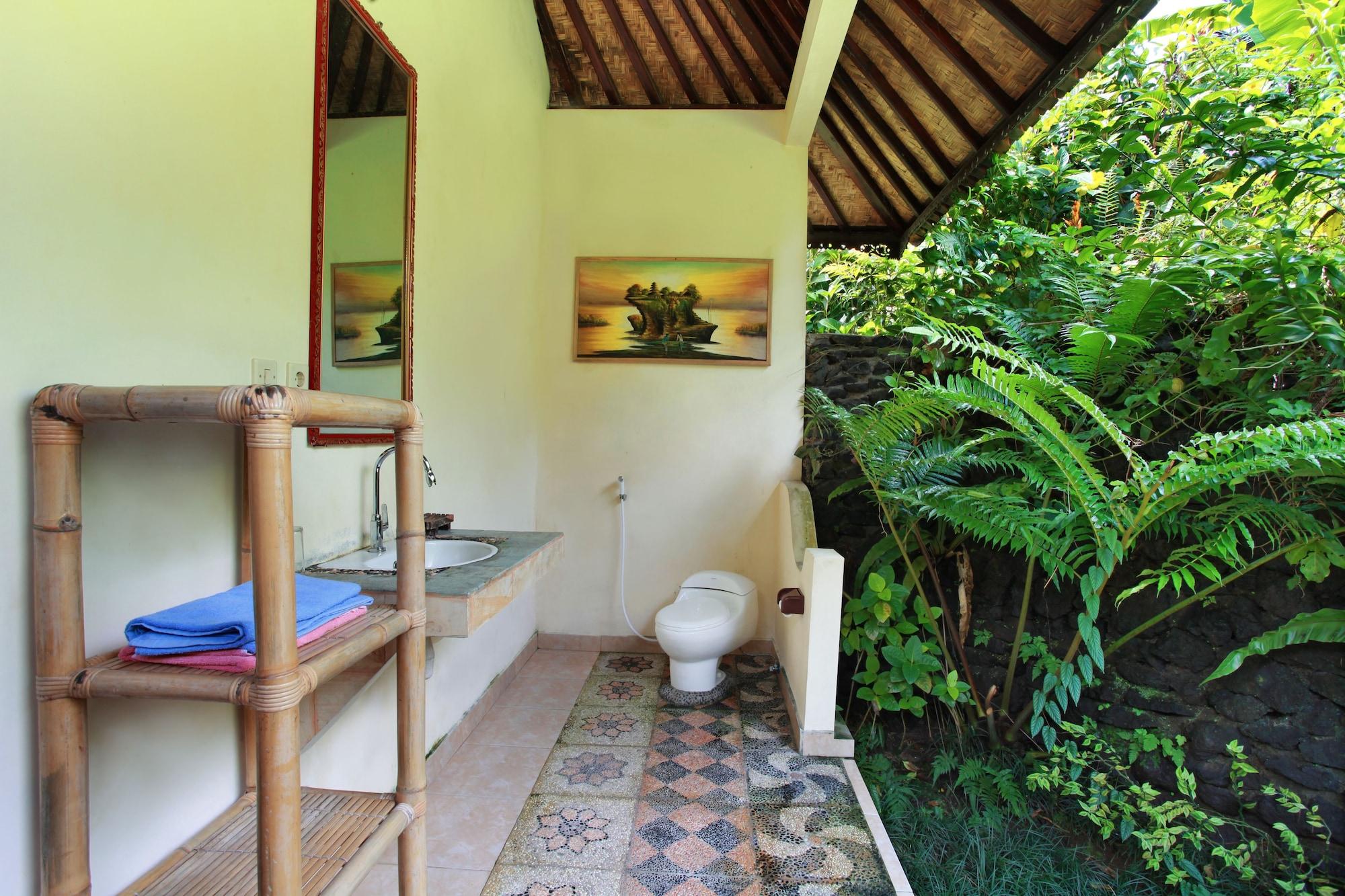 Great Mountain Views by null