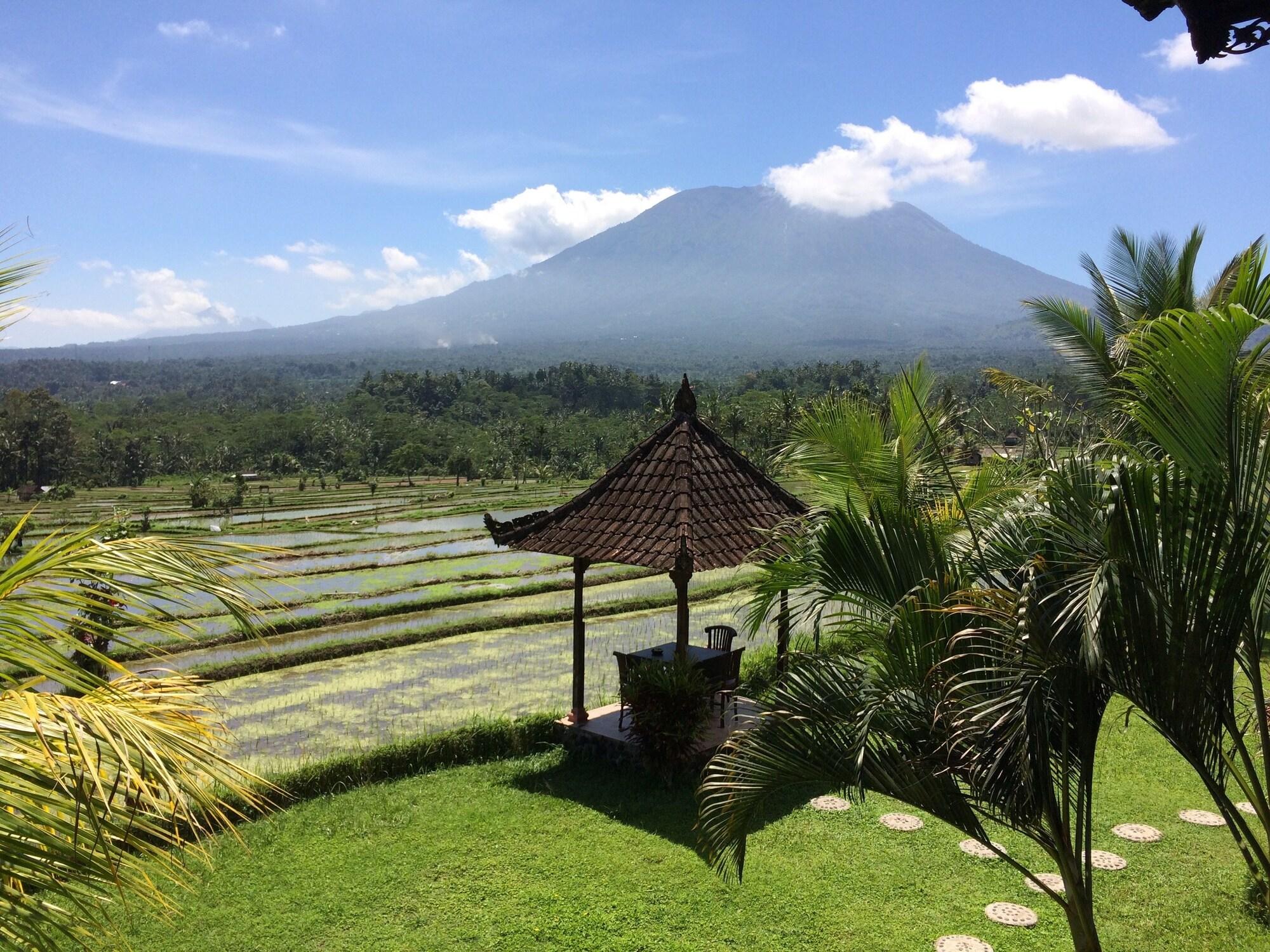 Great Mountain Views by null