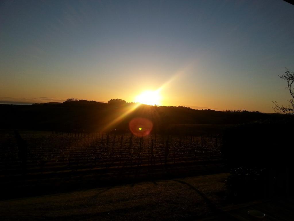 Takatu Lodge & Vineyard by null