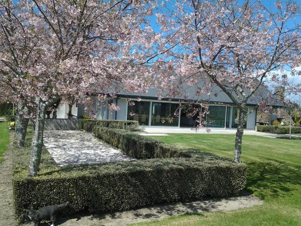 Takatu Lodge & Vineyard by null