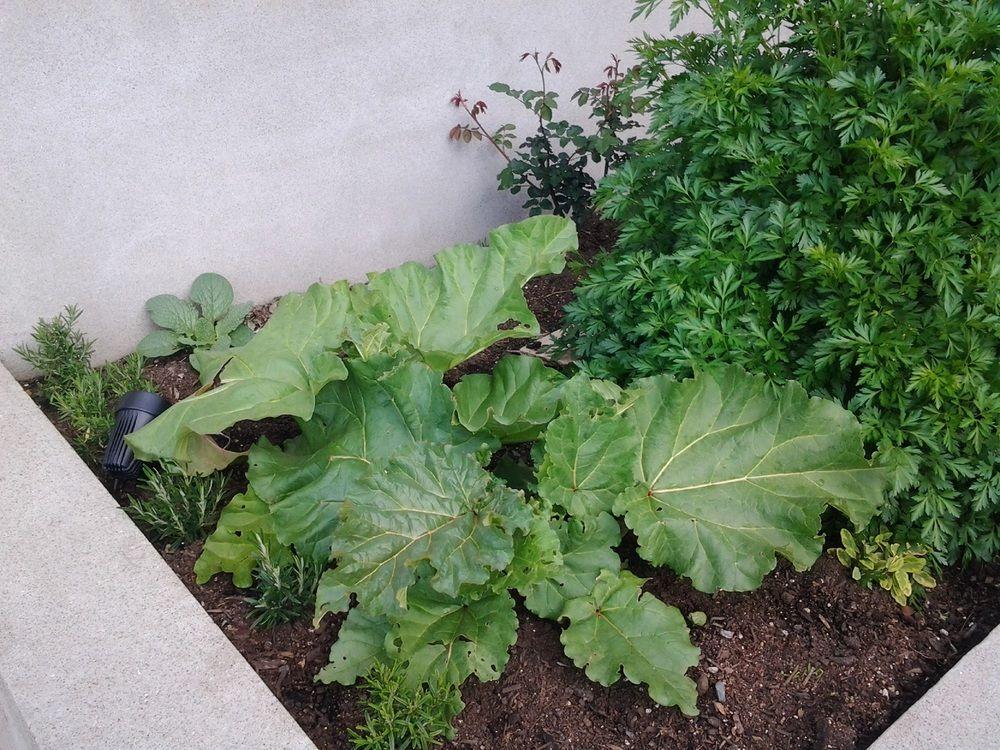 Takatu Lodge & Vineyard by null