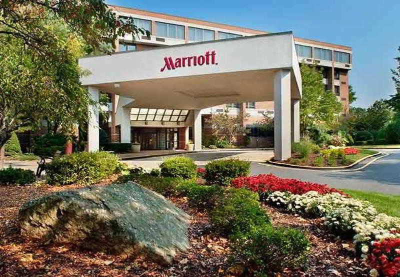 Trumbull Marriott Shelton image