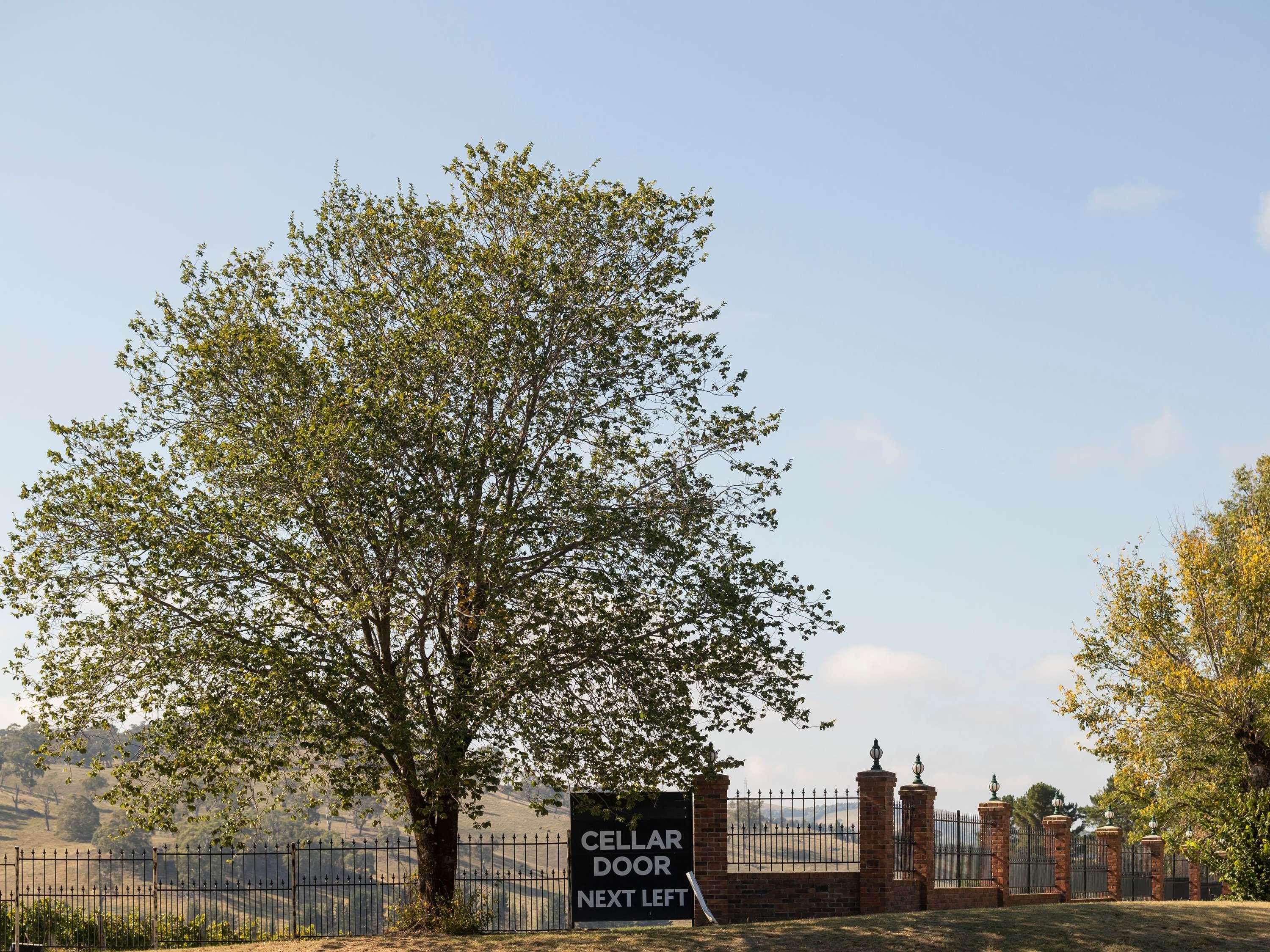 ibis Styles Orange by null