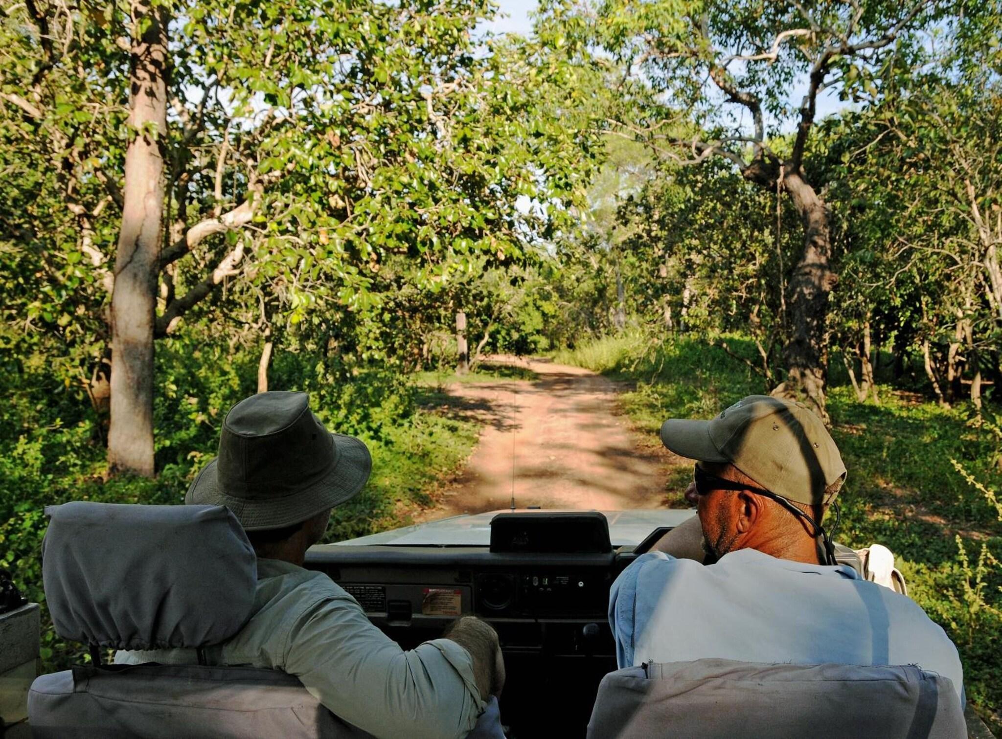 Bamurru Plains by null