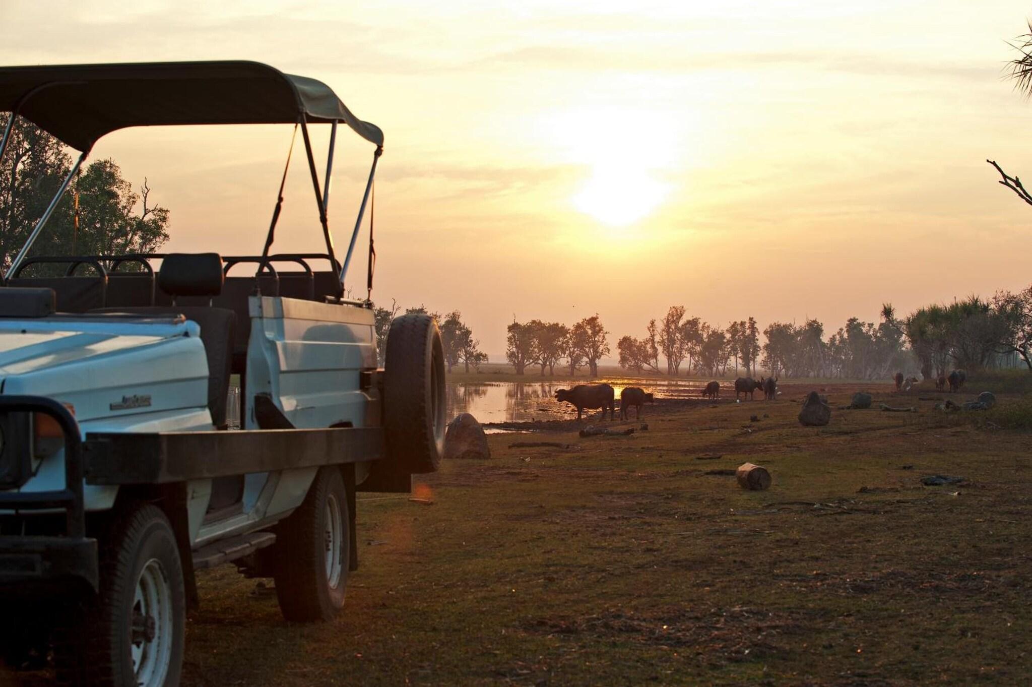 Bamurru Plains by null