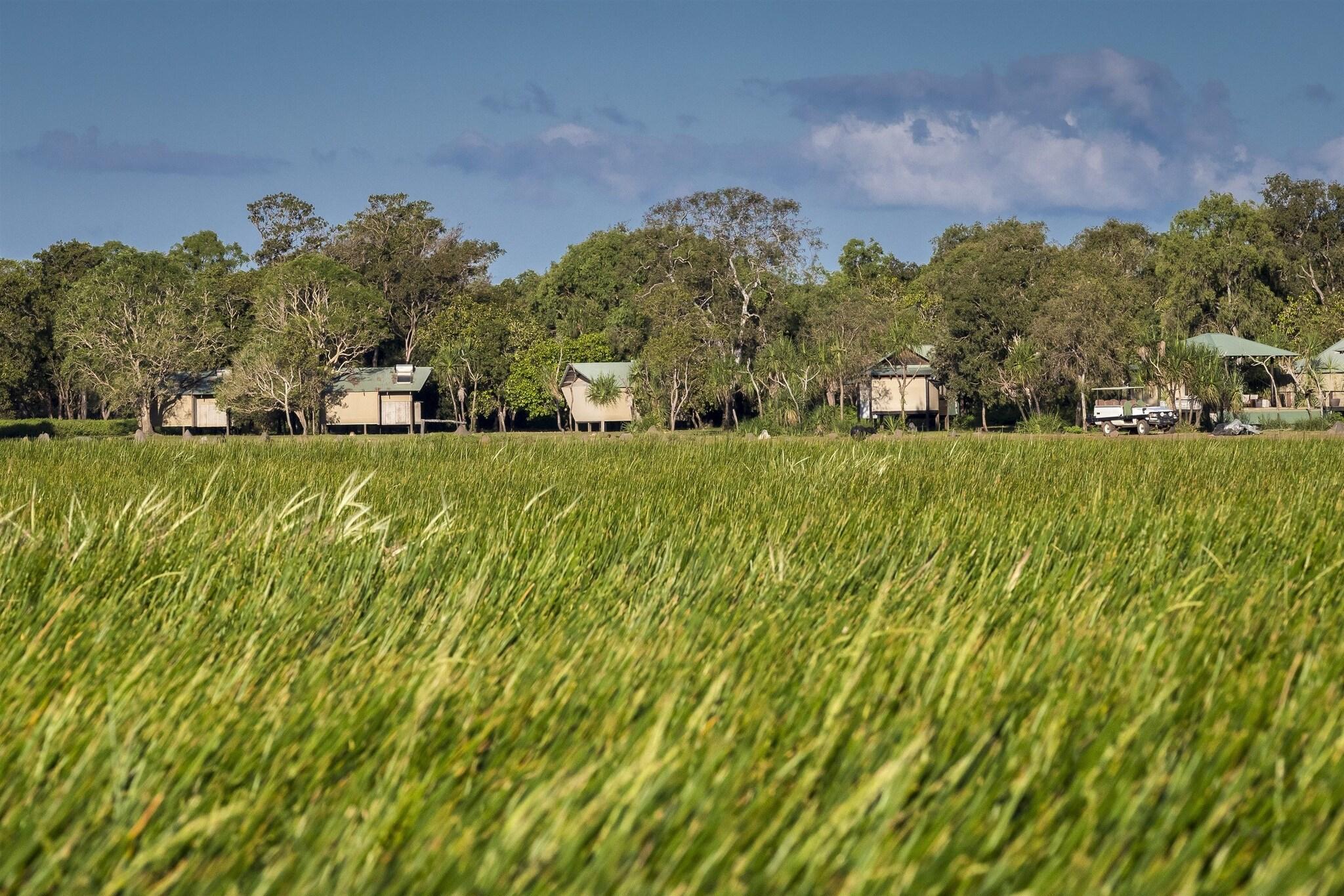Bamurru Plains by null