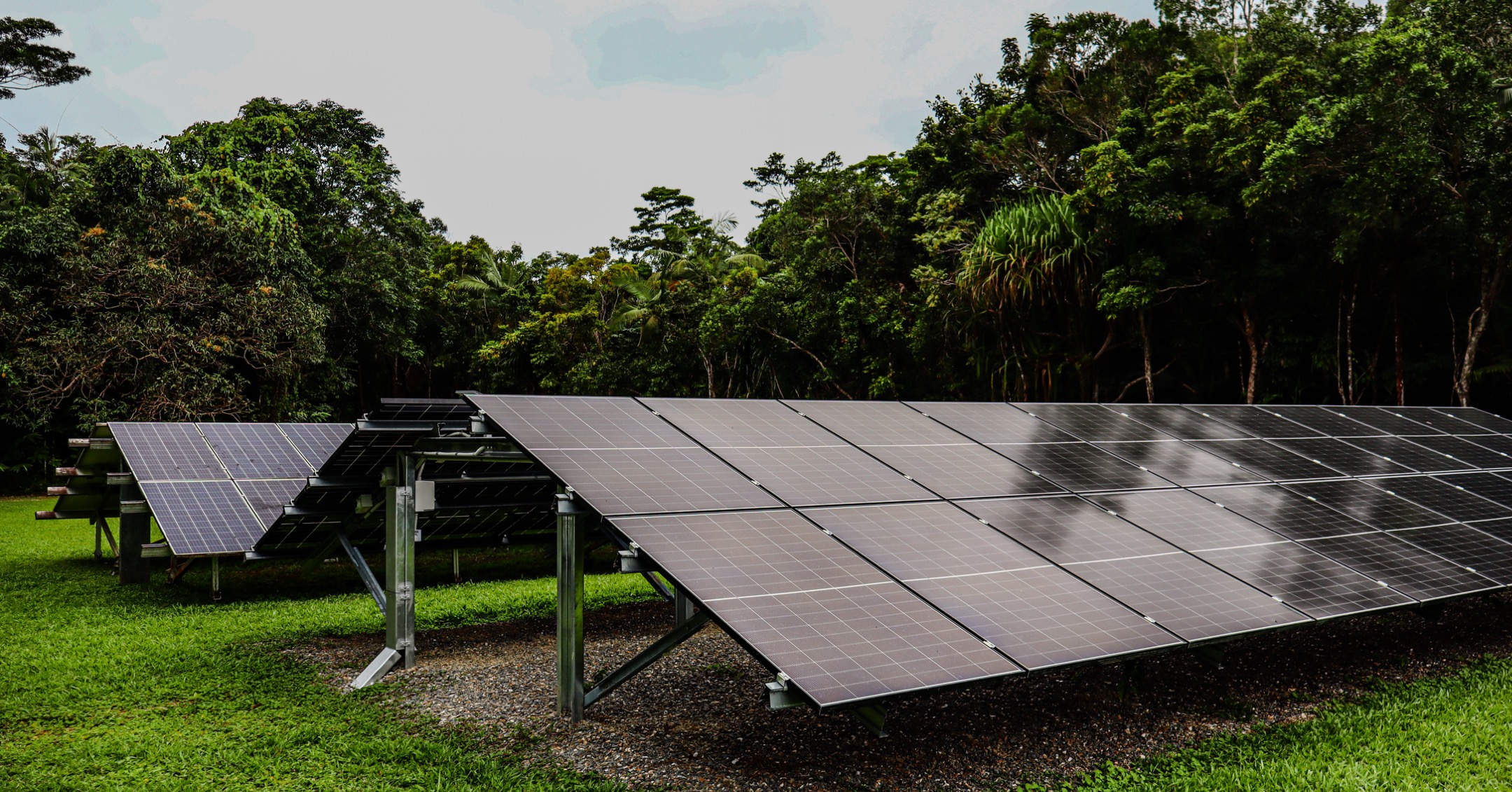 Daintree Wilderness Lodge by null