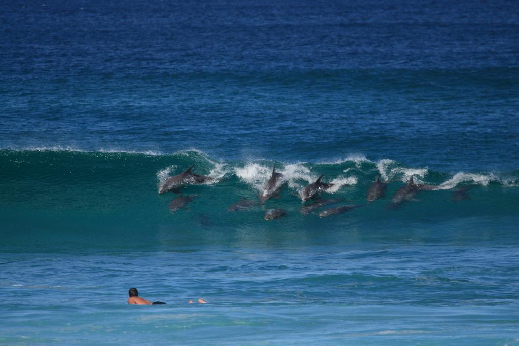 Hibiscus Motel by null