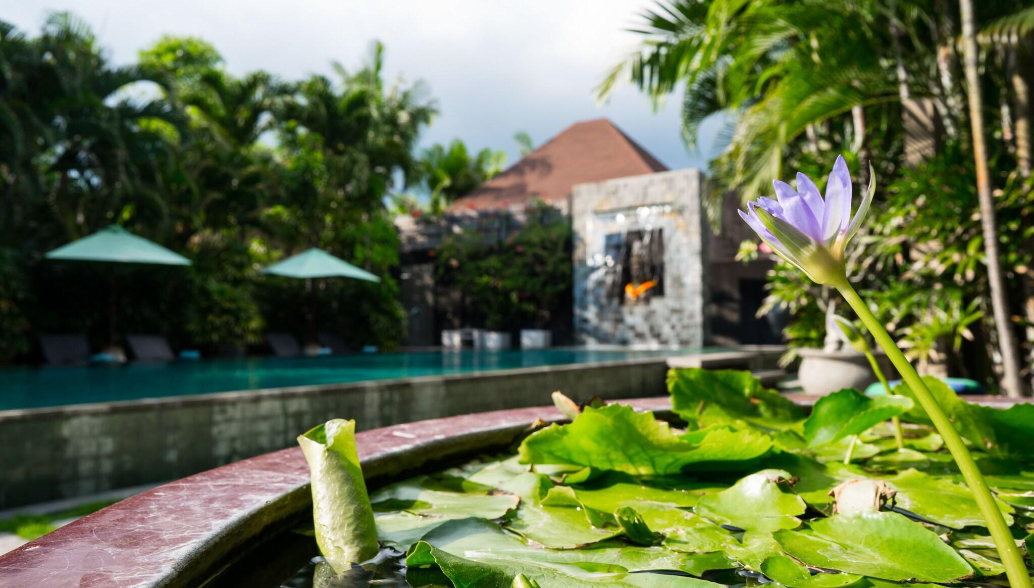 Cicada Luxury Townhouses - photo