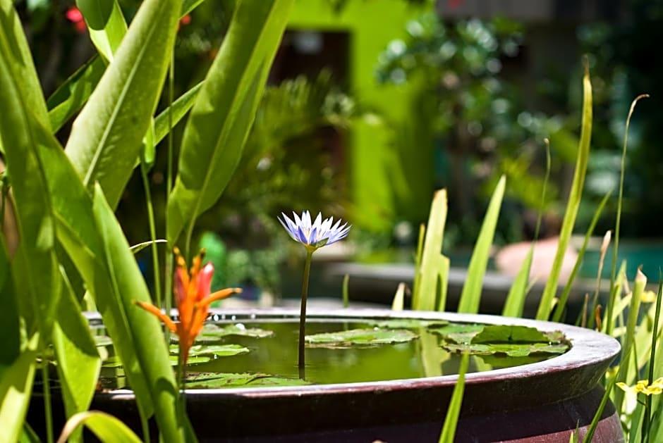 Cicada Luxury Townhouses - photo