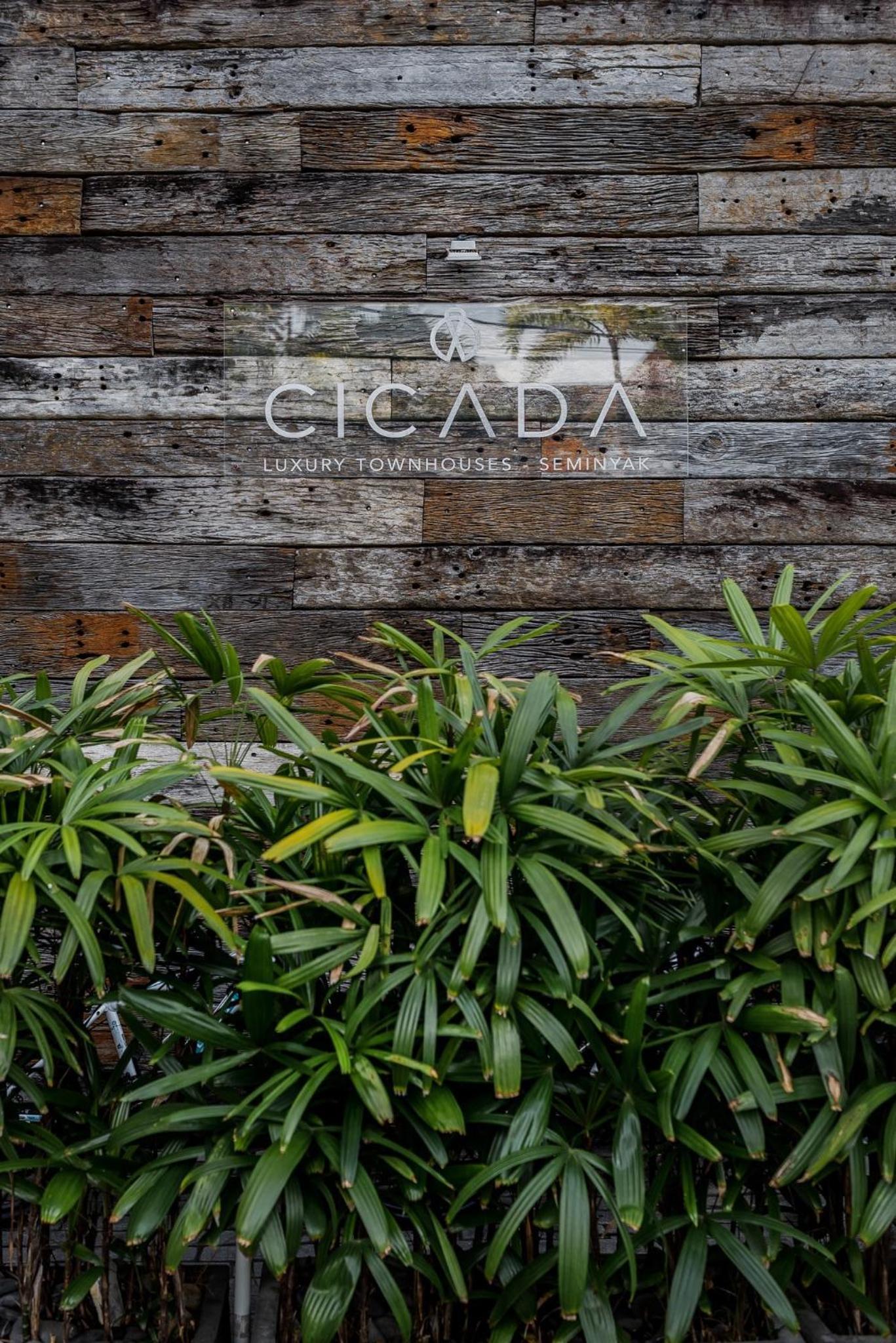 Cicada Luxury Townhouses - photo