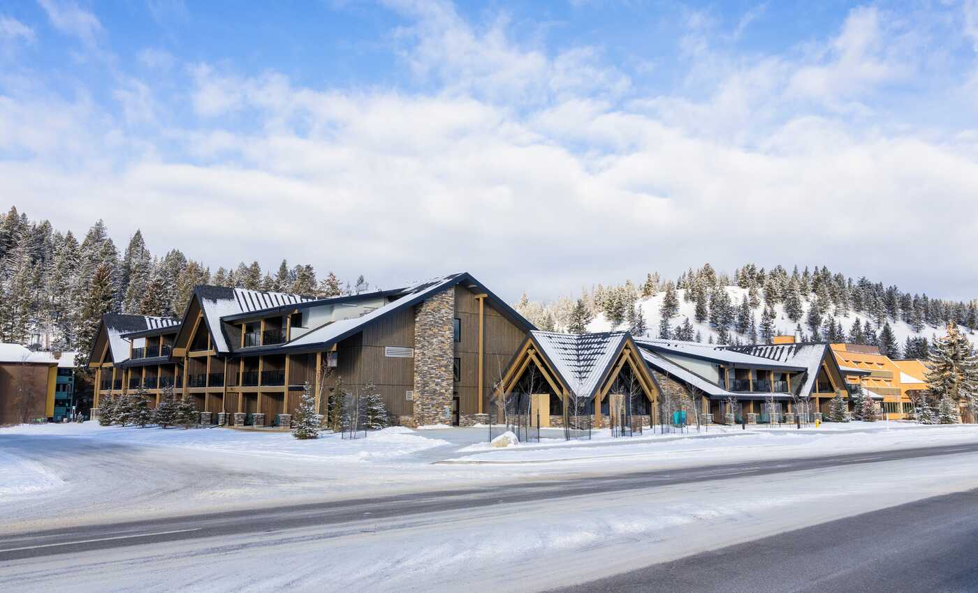 Forest Park Hotel by null